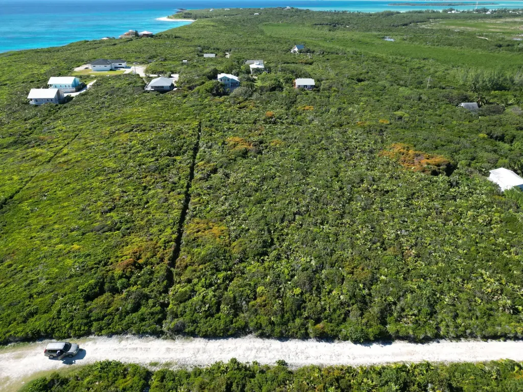 Yelllow Wood Hilltop 19 N Abaco BS