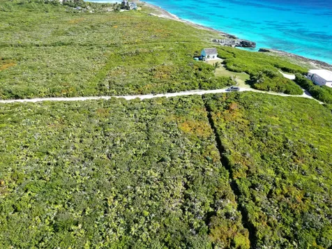 Yelllow Wood Hilltop 19 N Abaco BS