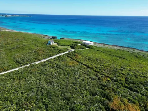 Yelllow Wood Hilltop 19 N Abaco BS