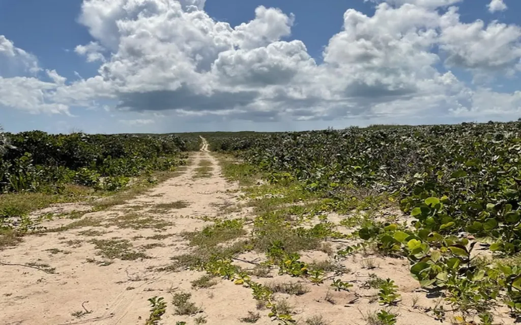 Lot C, Little Harbour Long Island BS