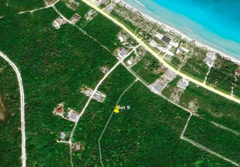 Aster Lily Avenue Berry Islands BS