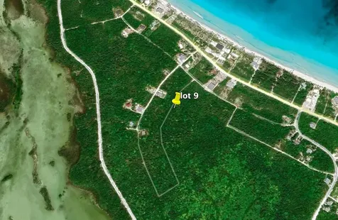 Aster Lily Avenue Berry Islands BS