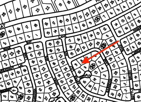 Aster Lily Avenue Berry Islands BS