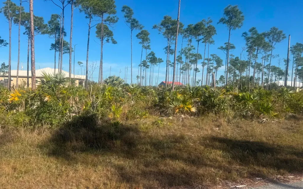 Multi Family Bristol Bay Grand Bahama Freeport BS
