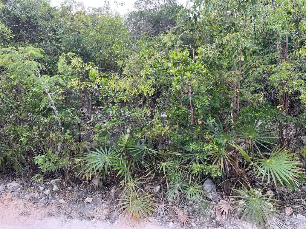 Lot 17293 Bahama Sound 18 Exuma BS