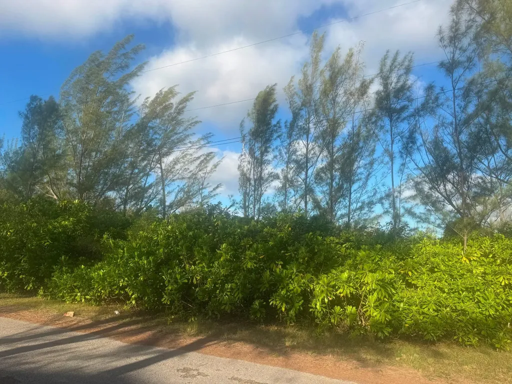 Lincoln Green Corner Lot Grand Bahama Freeport BS