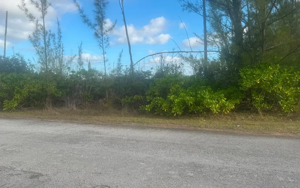Lincoln Green Corner Lot Grand Bahama Freeport BS