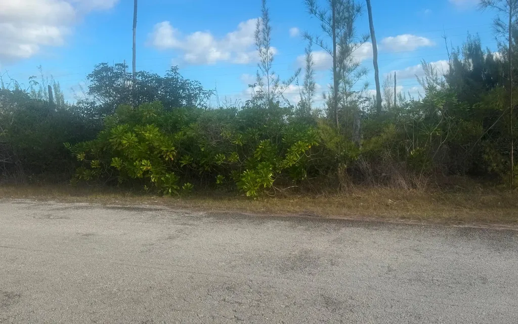 Lincoln Green Corner Lot Grand Bahama Freeport BS