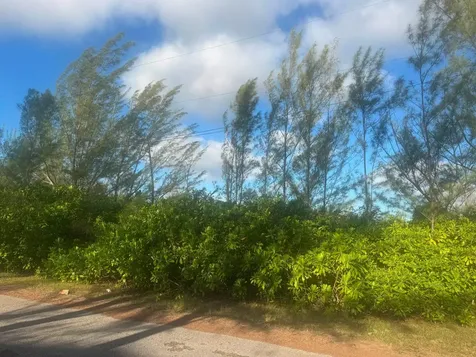 Lincoln Green Corner Lot Grand Bahama Freeport BS