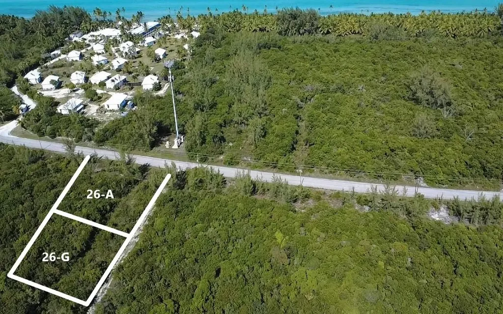 26 G Driggs Hill Andros BS