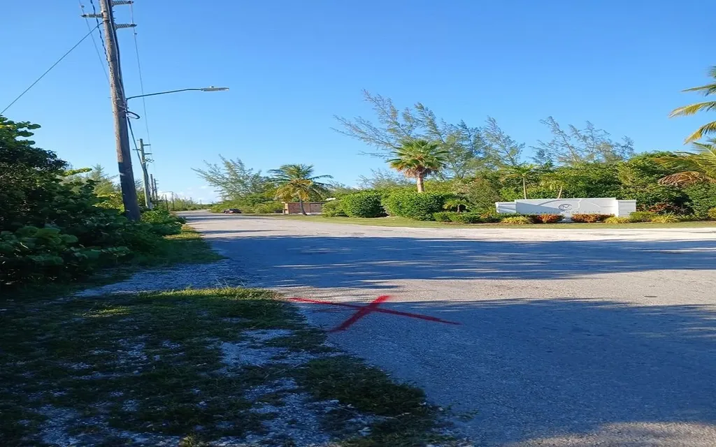 26 G Driggs Hill Andros BS