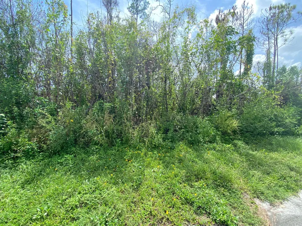 Helm Lane, Freeport, Gran 8 Grand Bahama Freeport BS