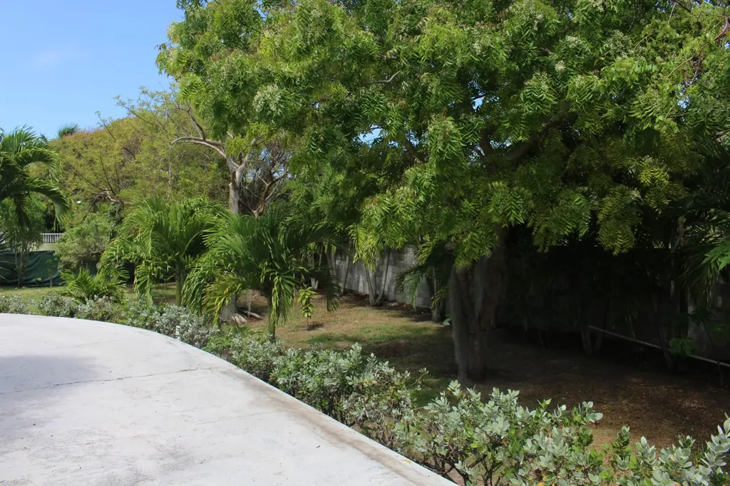 Bouganvilla Lane 42 Abaco BS