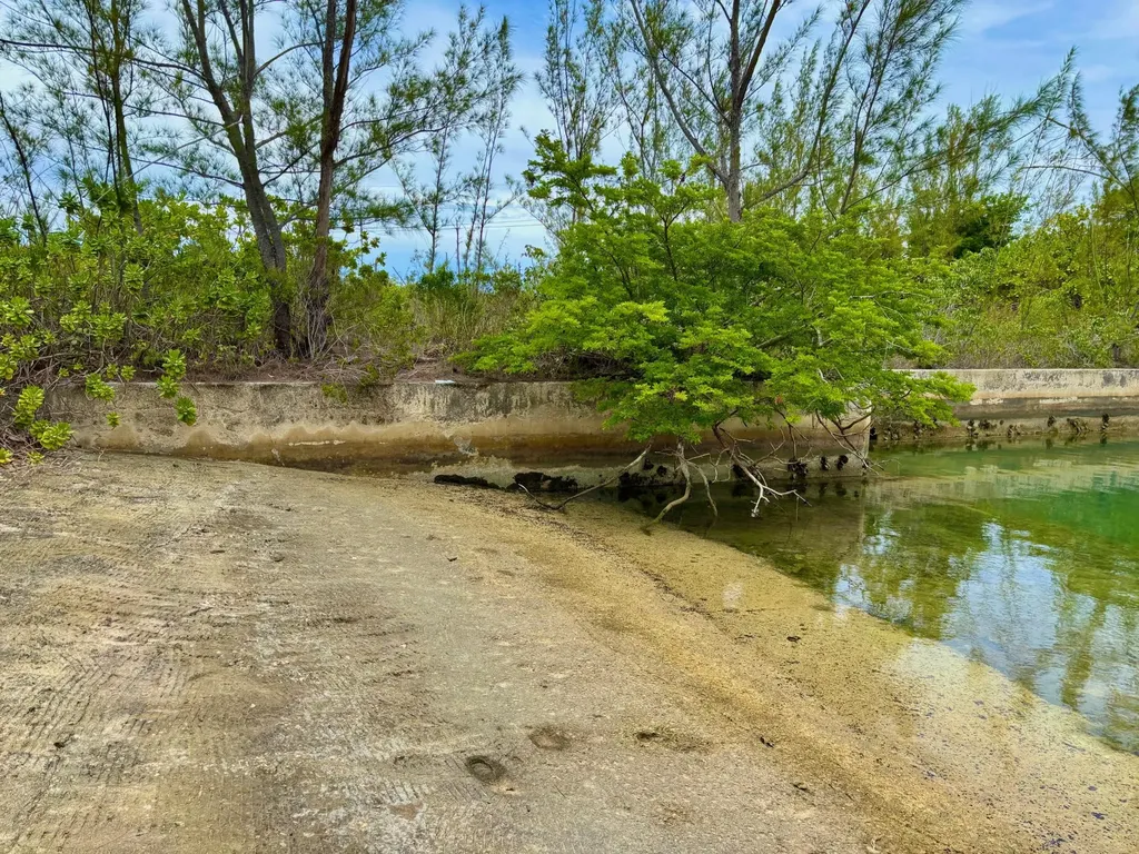 Pine Needle Road Grand Bahama Freeport BS