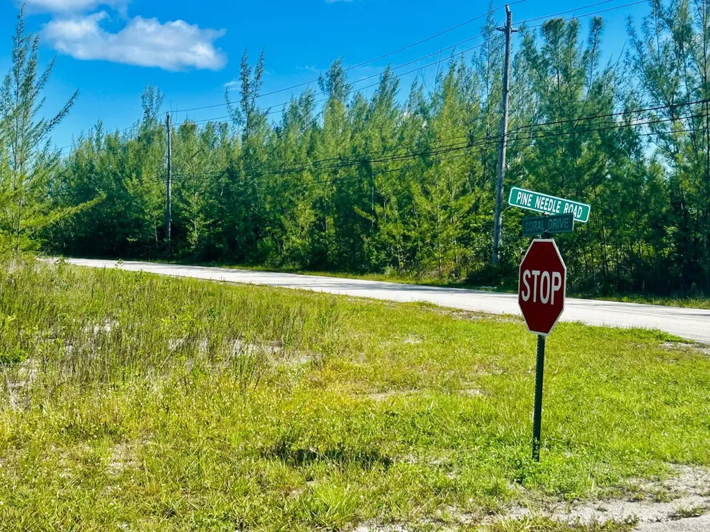 Pine Needle Road Grand Bahama Freeport BS