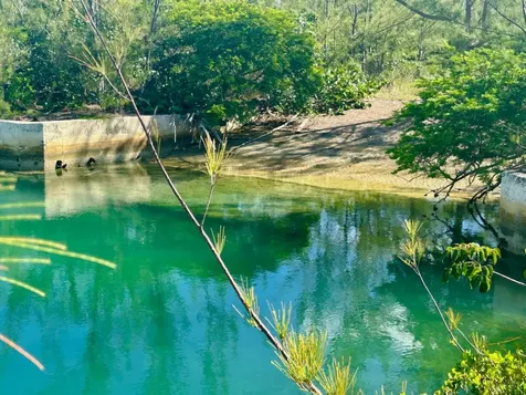 Pine Needle Road Grand Bahama Freeport BS