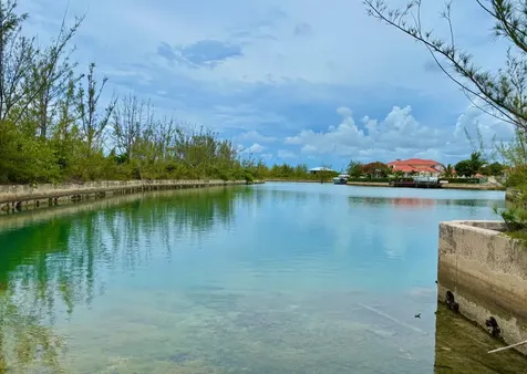 Pine Needle Road Grand Bahama Freeport BS