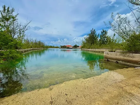 Pine Needle Road Grand Bahama Freeport BS