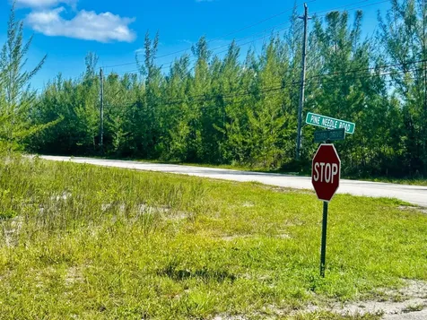 Pine Needle Road Grand Bahama Freeport BS