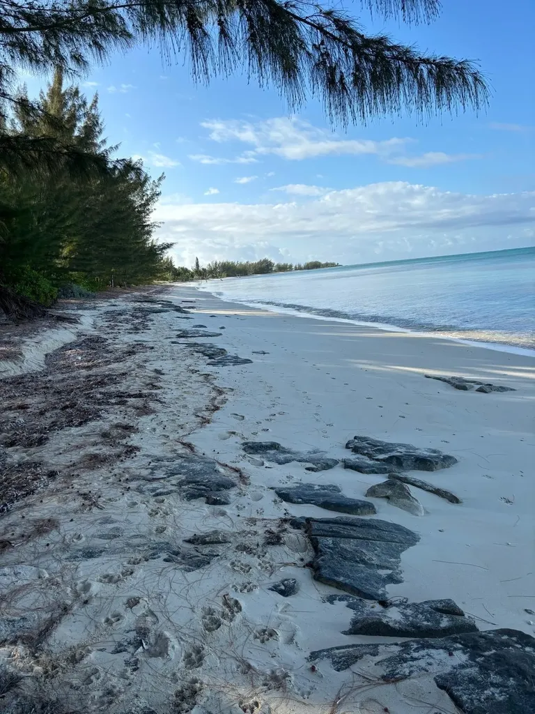 5 Acres In Sandy Point, A Abaco BS