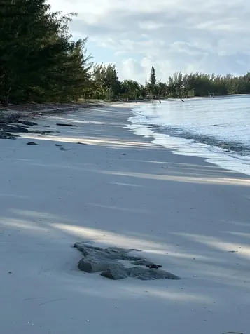 5 Acres In Sandy Point, A Abaco BS
