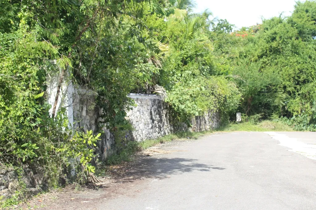 Wild Tamarind Drive New Providence Paradise Island BS