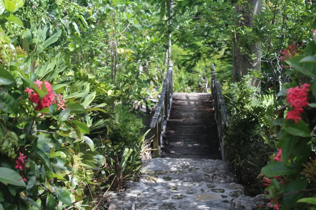 Wild Tamarind Drive New Providence Paradise Island BS