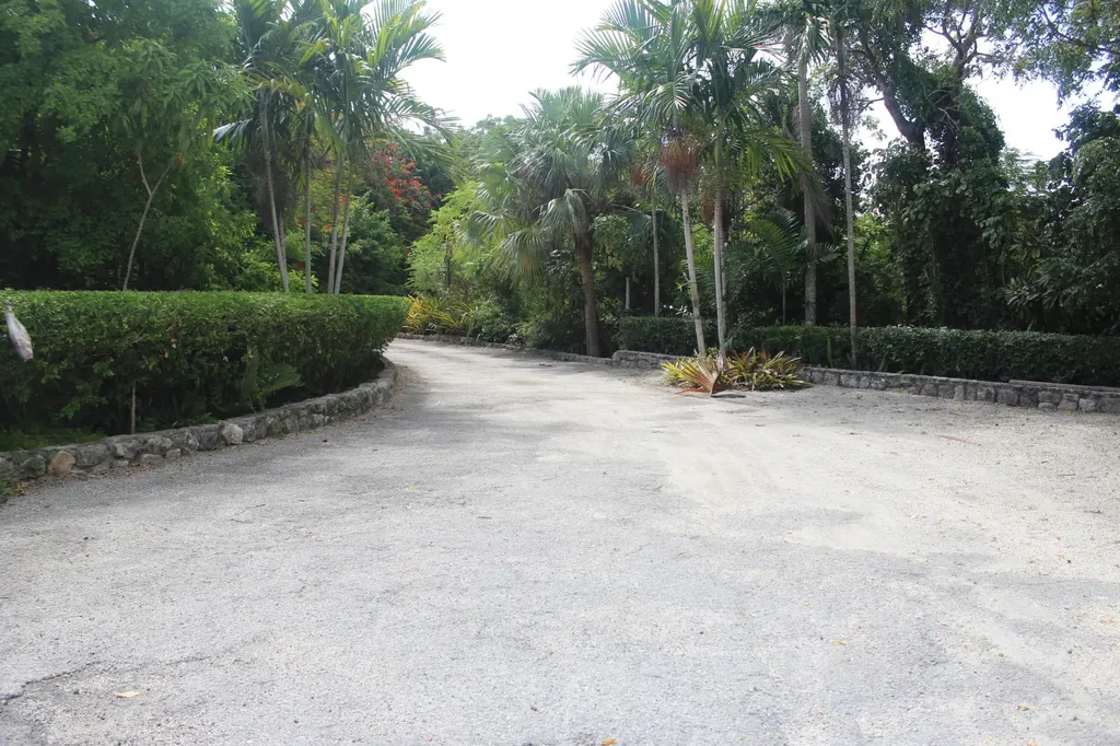 Wild Tamarind Drive New Providence Paradise Island BS