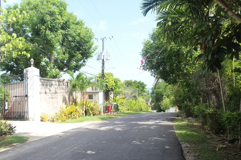 Wild Tamarind Drive New Providence Paradise Island BS