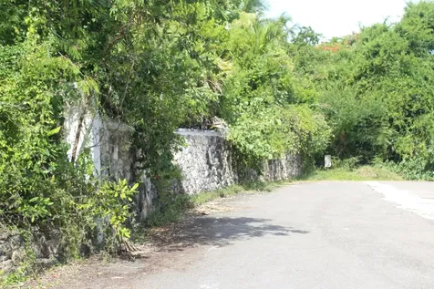 Wild Tamarind Drive New Providence Paradise Island BS