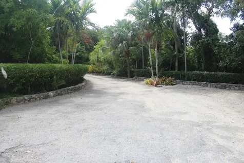 Wild Tamarind Drive New Providence Paradise Island BS