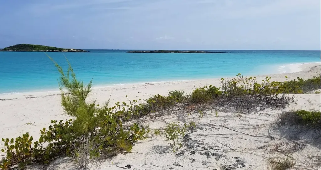 Flamingo Drive Bib Exuma BS