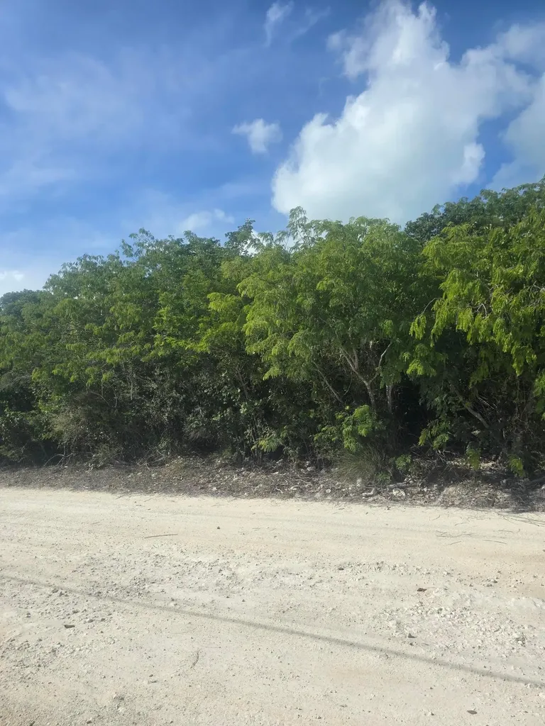 Flamingo Drive Bib Exuma BS