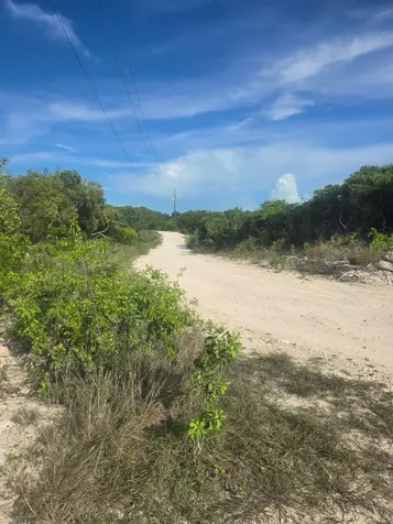 Flamingo Drive Bib Exuma BS