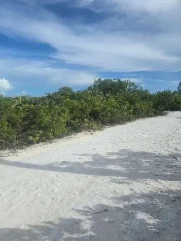 Flamingo Drive Bib Exuma BS