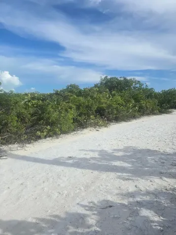 Flamingo Drive Bib Exuma BS