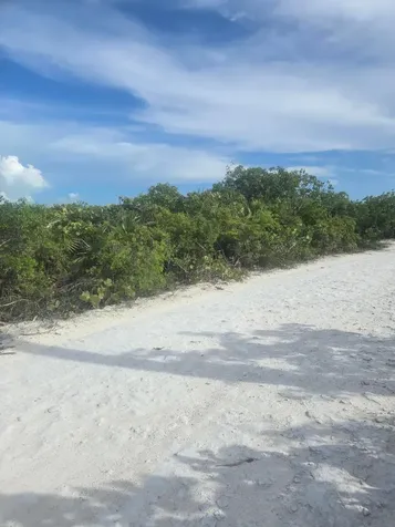 Flamingo Drive Bib Exuma BS