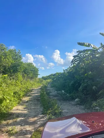 Grand Bahama Highway Grand Bahama Freeport BS
