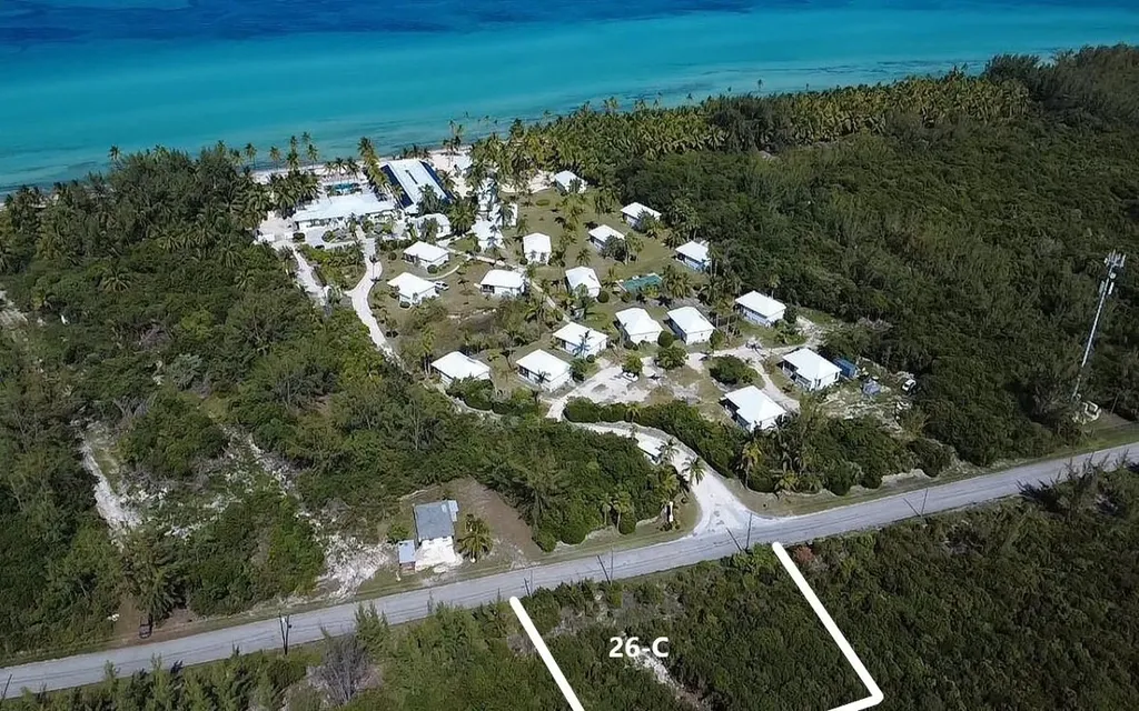 26 C Driggs Hill Andros BS