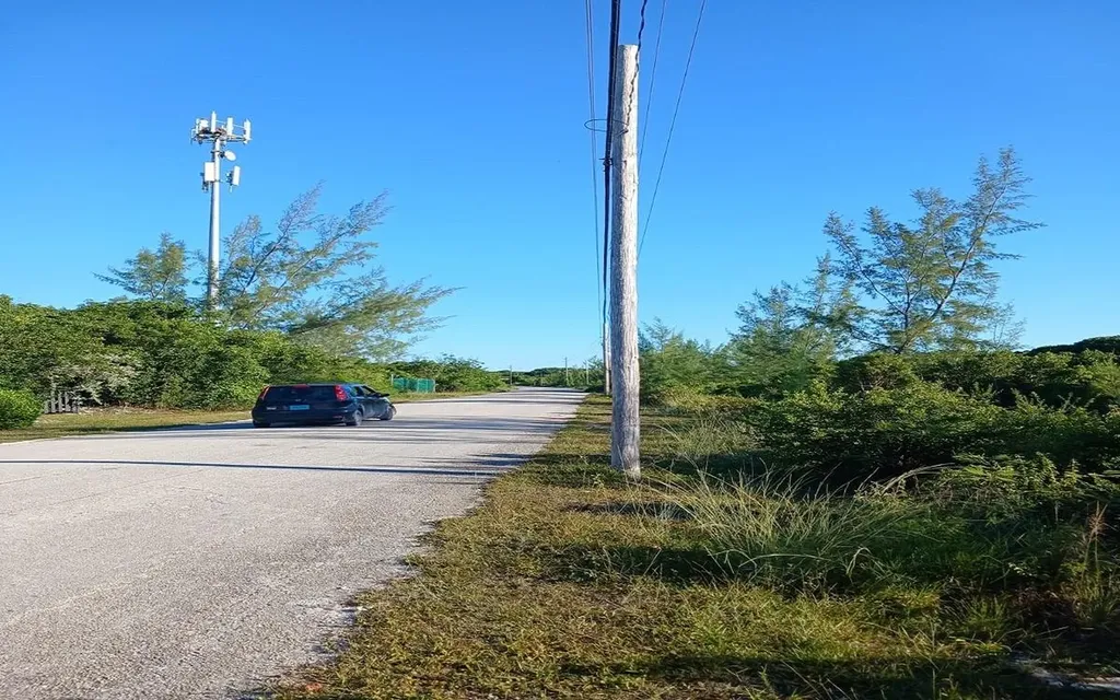 26 C Driggs Hill Andros BS