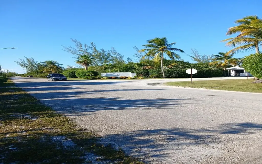 26 C Driggs Hill Andros BS