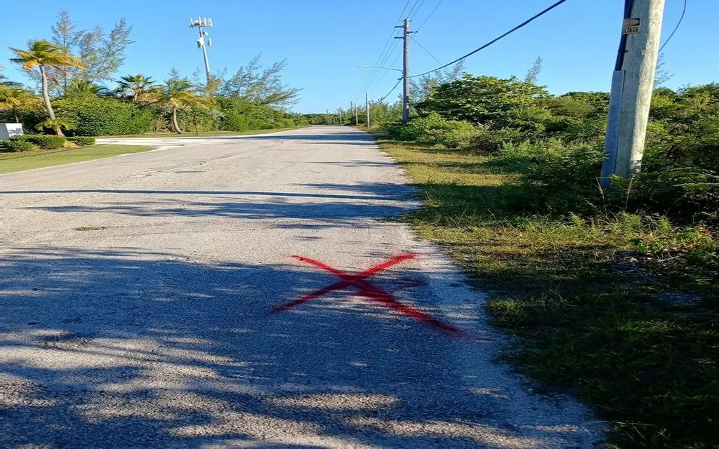 26 C Driggs Hill Andros BS