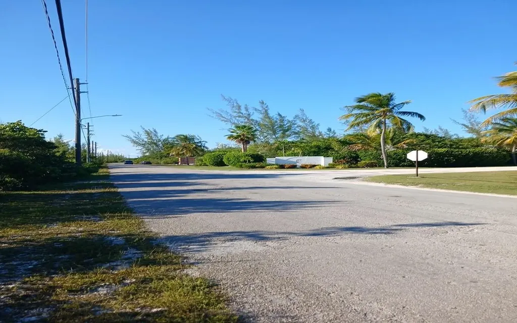 26 C Driggs Hill Andros BS