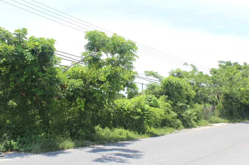 West Avenue Centreville New Providence Paradise Island BS