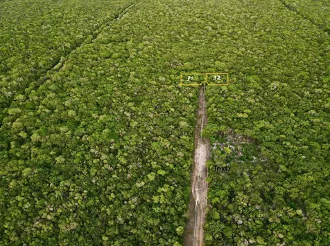 Tarpum Bay Lot# 31 Eleuth Eleuthera BS
