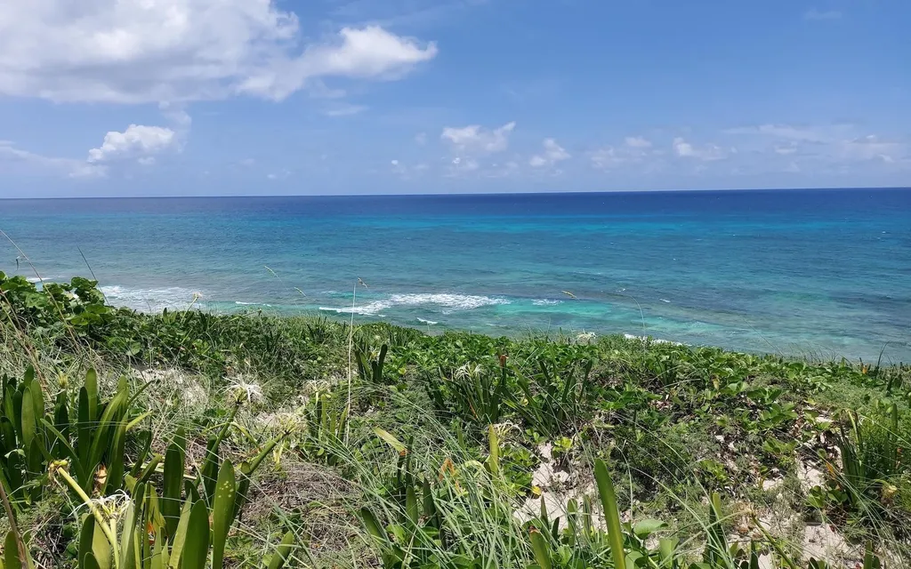 Lot 44a, Rainbow Bay Eleuthera BS