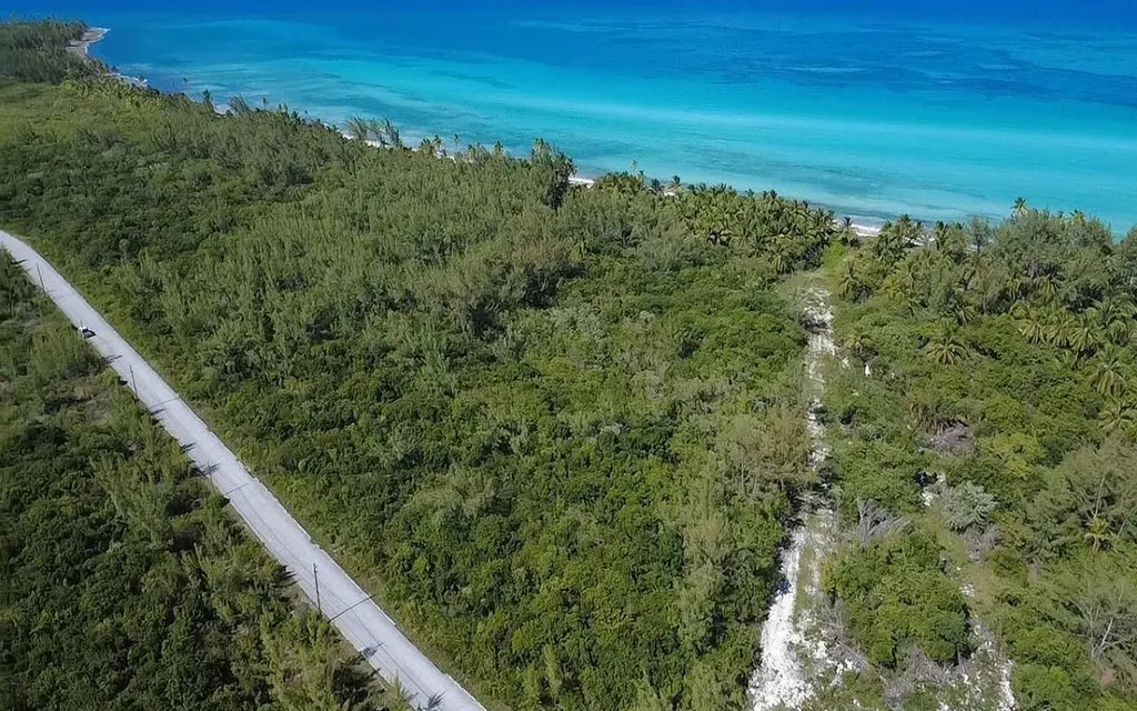 78 C, D, I, J Driggs Hill Andros BS