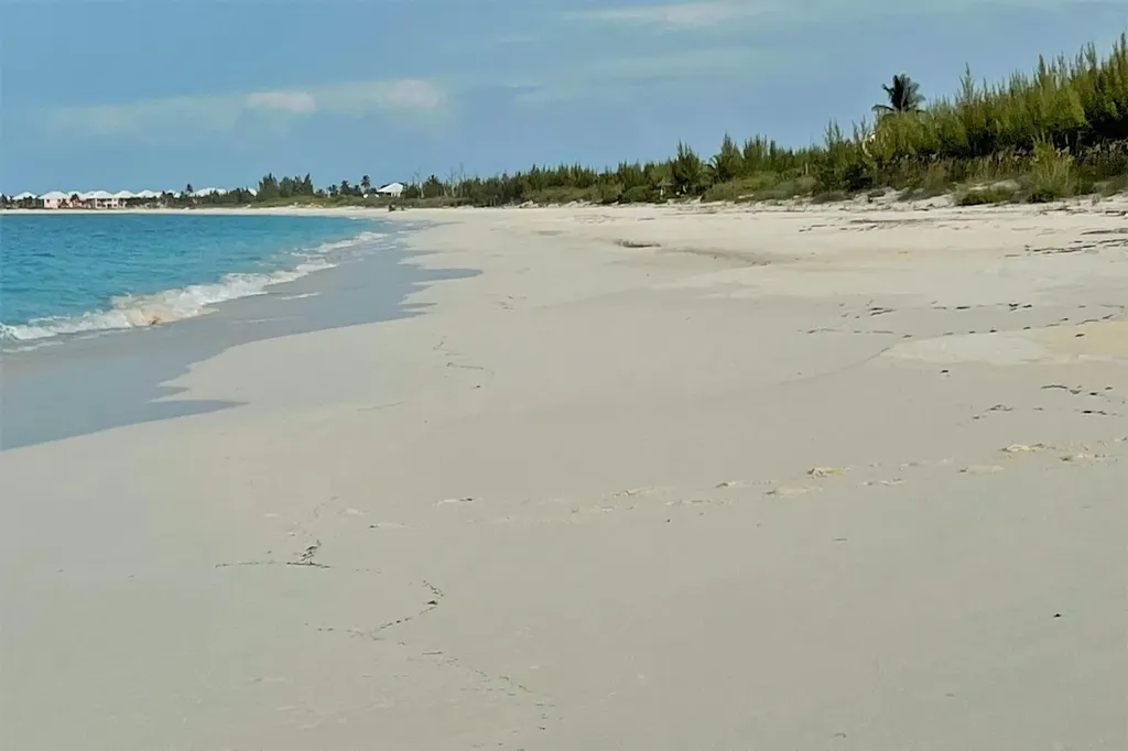 Prime Multi Family Lots Abaco BS