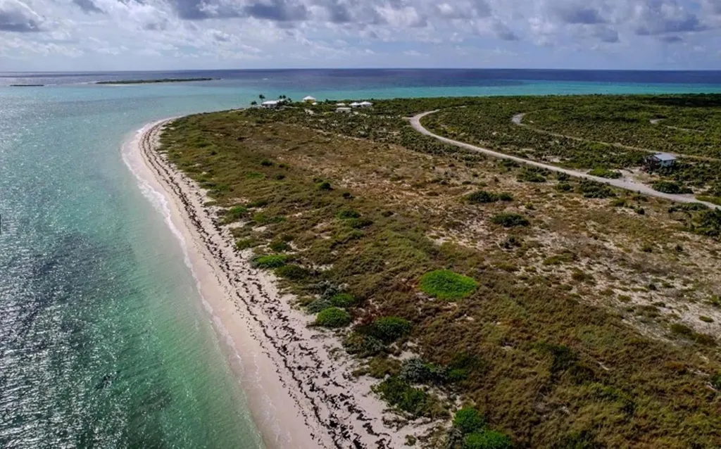 Columbus Landing #3 San Salvador BS