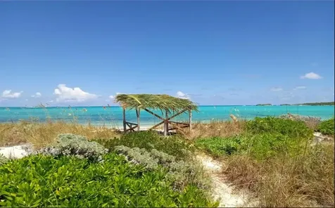 Columbus Landing #3 San Salvador BS